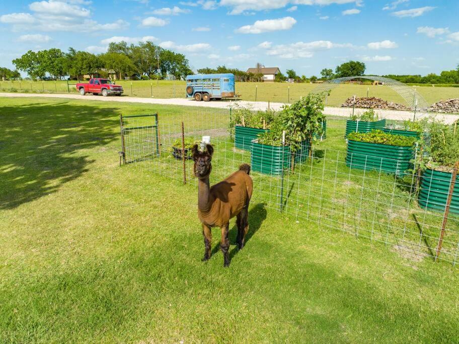 Silo House At Laughing Llama Farm Troy Exterior foto