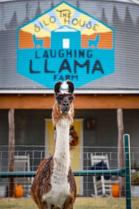 Silo House At Laughing Llama Farm Troy Exterior foto