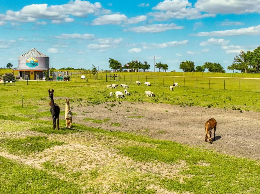 Silo House At Laughing Llama Farm Troy Exterior foto